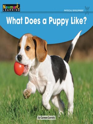 cover image of What Does a Puppy Like?